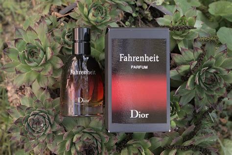 fahrenheit le dior review